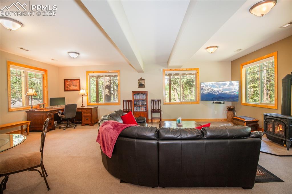 416 Foxtail Drive Fairplay CO 80440