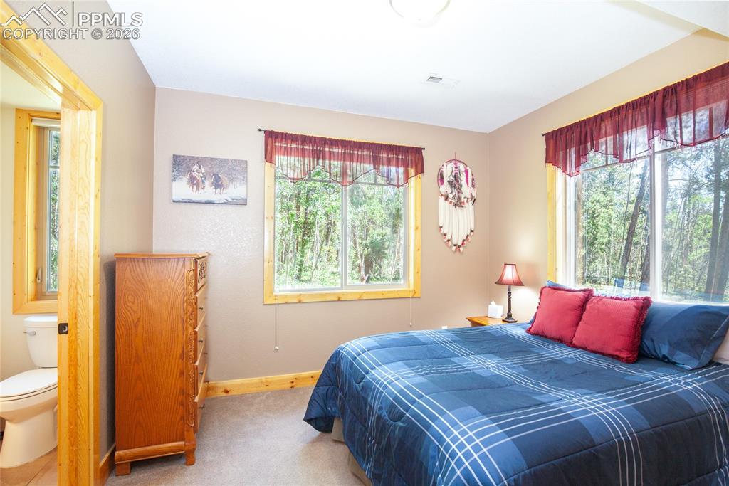 416 Foxtail Drive Fairplay CO 80440