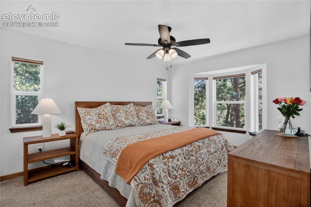 341 Rainbow Trail Divide CO 80814