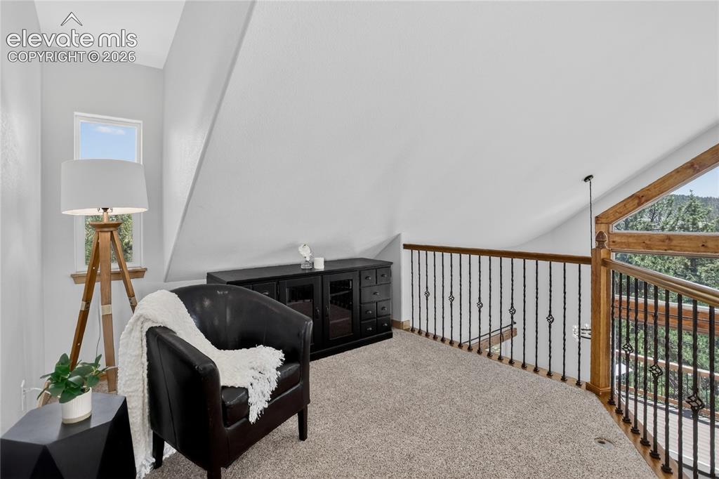 341 Rainbow Trail Divide CO 80814
