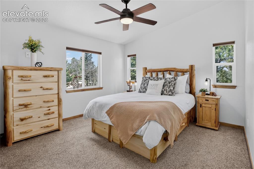 341 Rainbow Trail Divide CO 80814