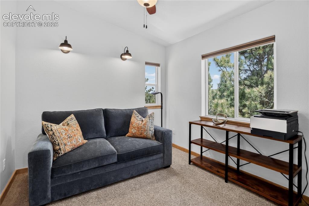 341 Rainbow Trail Divide CO 80814