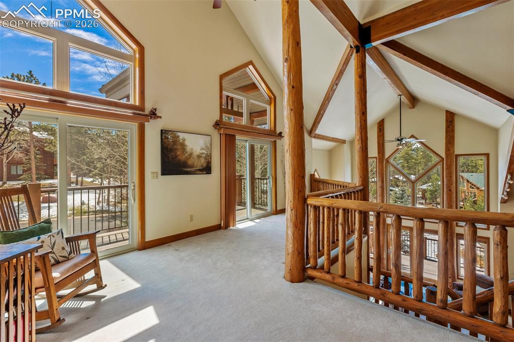 775 Skyline Drive Woodland Park CO 80863
