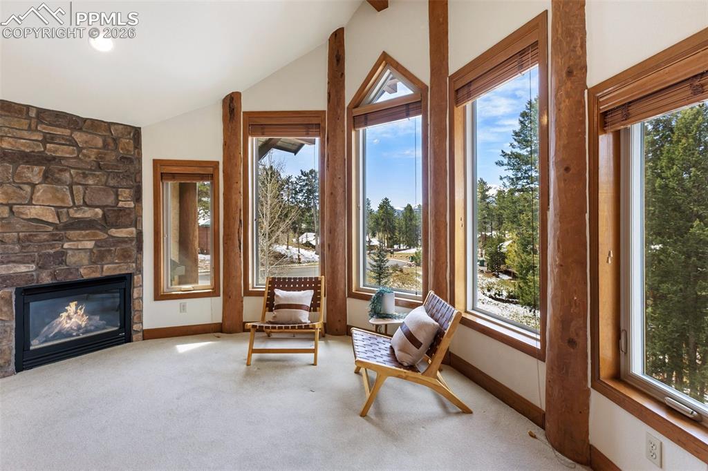 775 Skyline Drive Woodland Park CO 80863