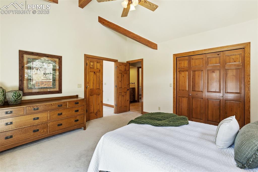 775 Skyline Drive Woodland Park CO 80863