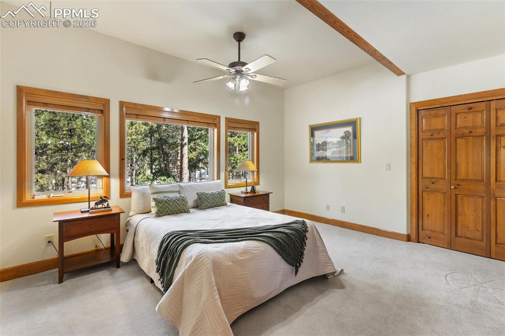 775 Skyline Drive Woodland Park CO 80863