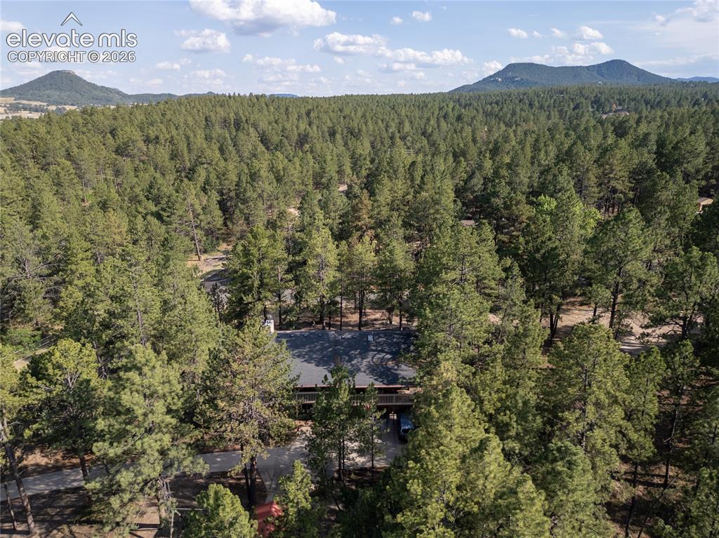 545 Tenderfoot Drive Larkspur CO 80118