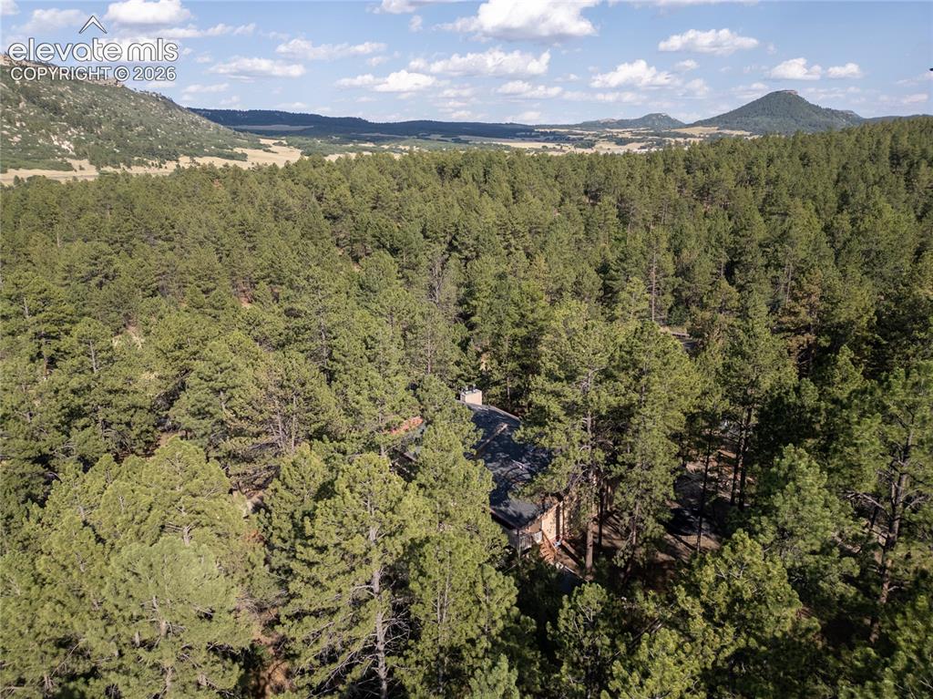 545 Tenderfoot Drive Larkspur CO 80118