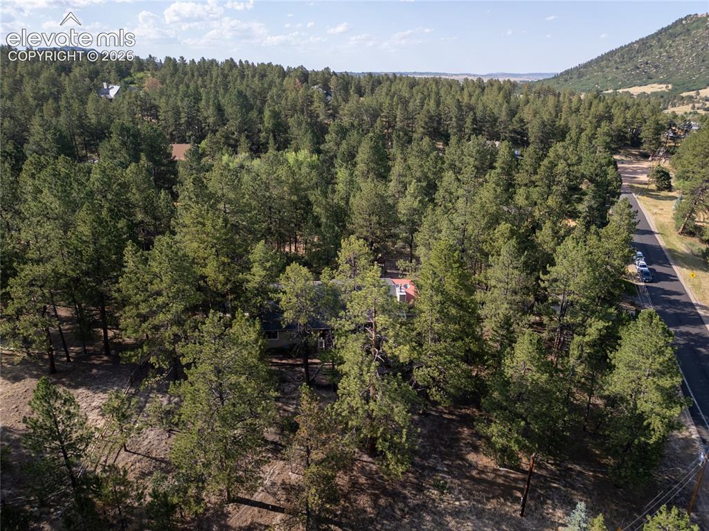 545 Tenderfoot Drive Larkspur CO 80118