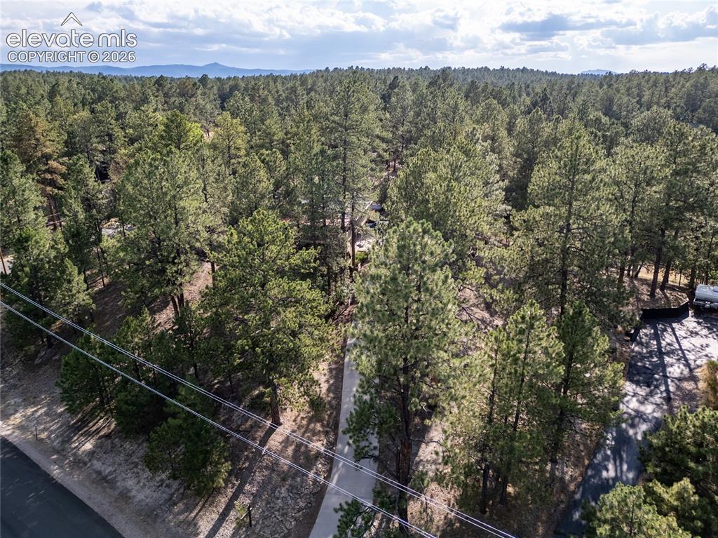 545 Tenderfoot Drive Larkspur CO 80118