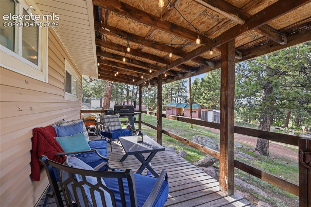 2134 Homestake Place Lake George CO 80827