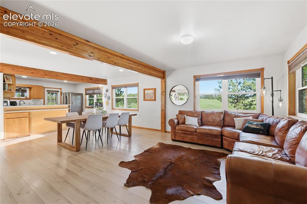 2134 Homestake Place Lake George CO 80827