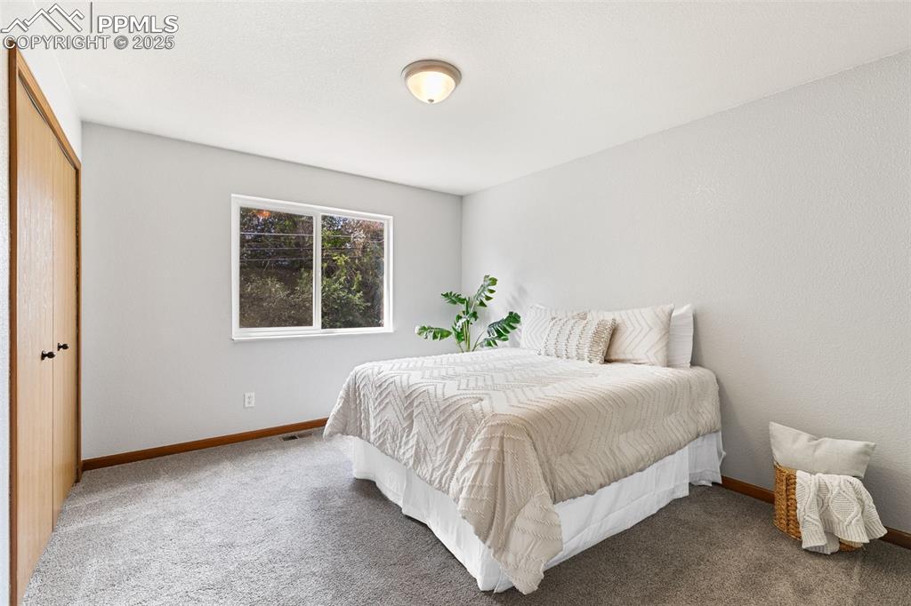 6224 Gossamer Street Colorado Springs CO 80911