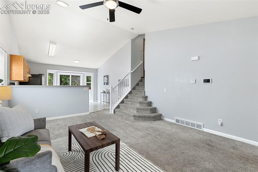 6224 Gossamer Street Colorado Springs CO 80911