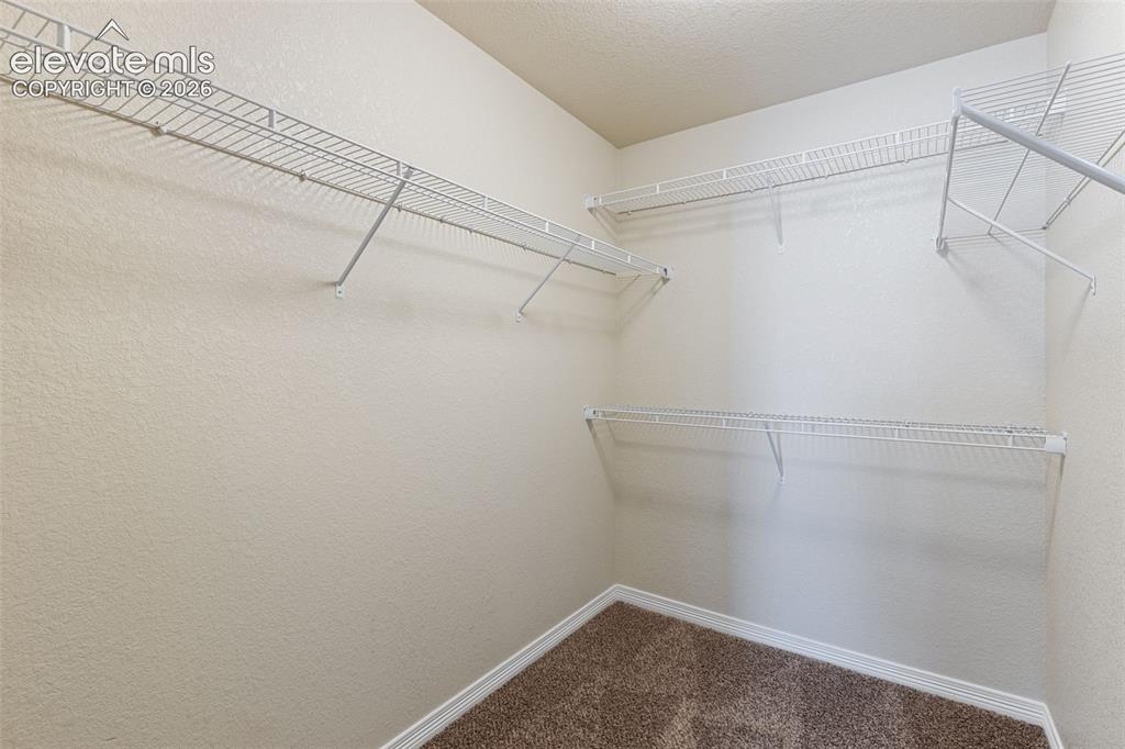 7916 Lightwood Way Colorado Springs CO 80908