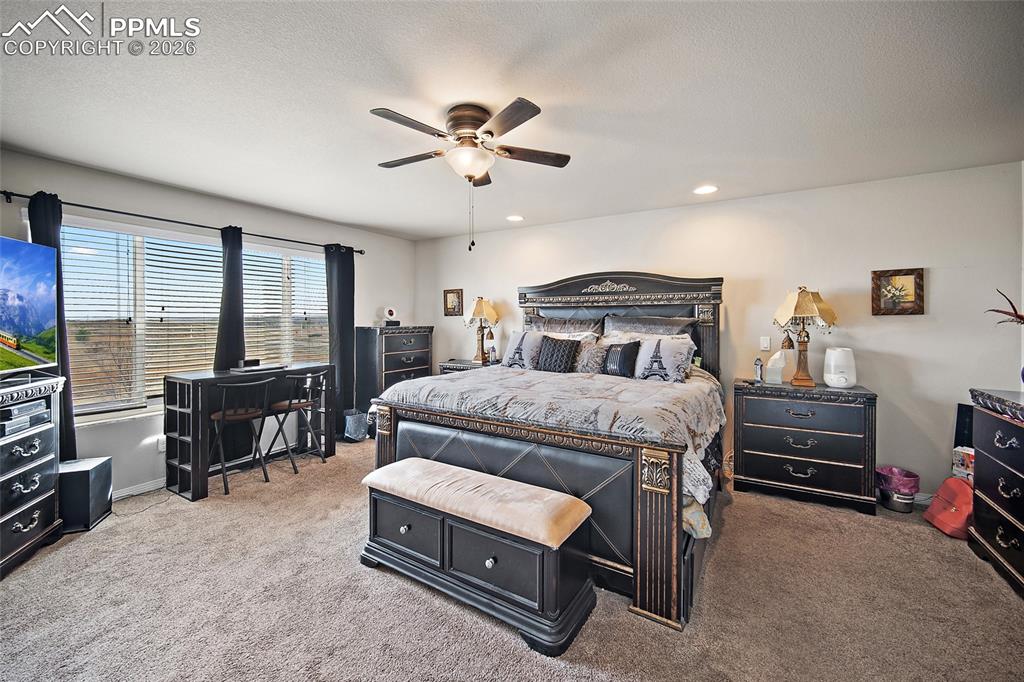 8931 Pennycress Drive Colorado Springs CO 80925