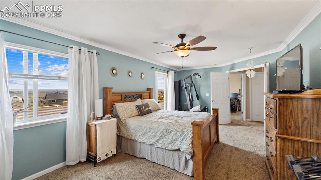 7453 Sun Prairie Drive Colorado Springs CO 80925