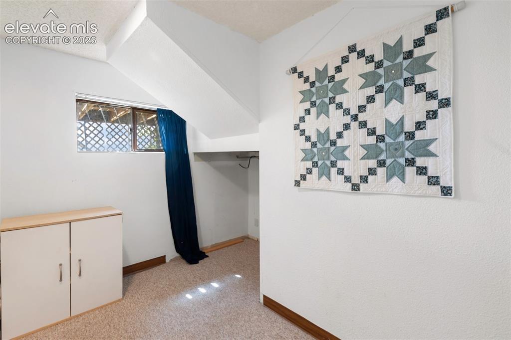 30 Will Stutley Drive Divide CO 80814