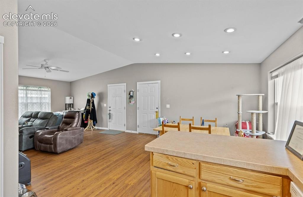 738 Trout Creek Drive Fairplay CO 80440