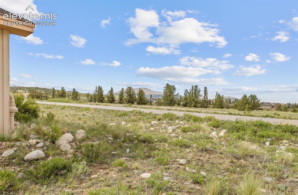 738 Trout Creek Drive Fairplay CO 80440