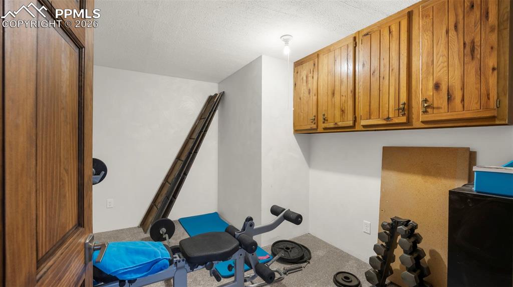 721 Sunnywood Place Woodland Park CO 80863