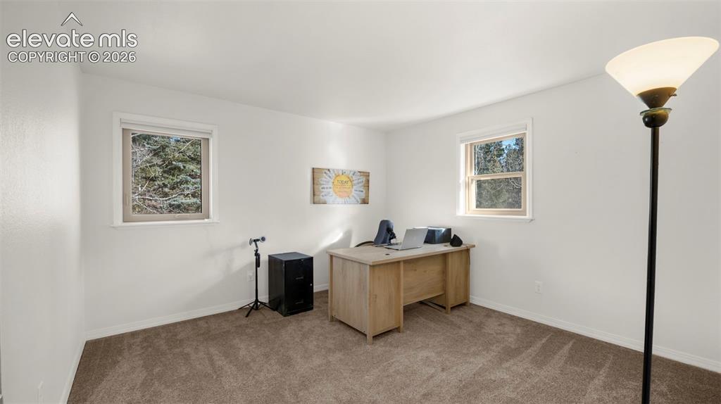 721 Sunnywood Place Woodland Park CO 80863