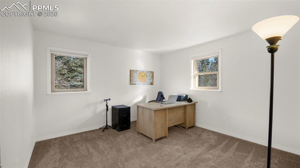 721 Sunnywood Place Woodland Park CO 80863