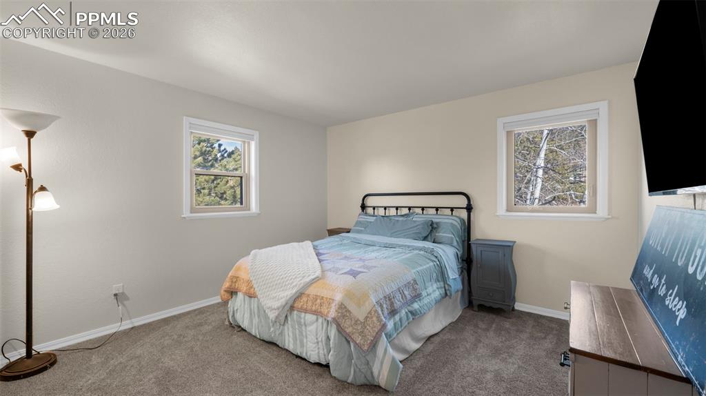 721 Sunnywood Place Woodland Park CO 80863