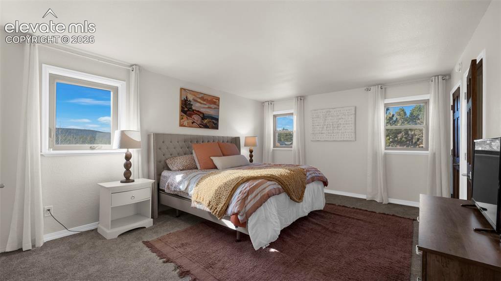 721 Sunnywood Place Woodland Park CO 80863