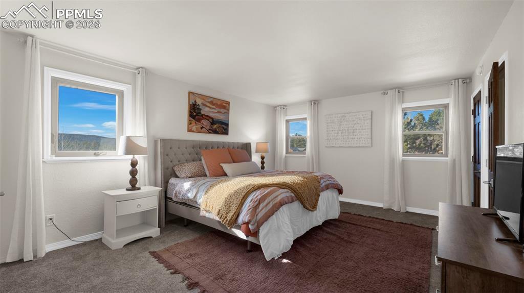 721 Sunnywood Place Woodland Park CO 80863