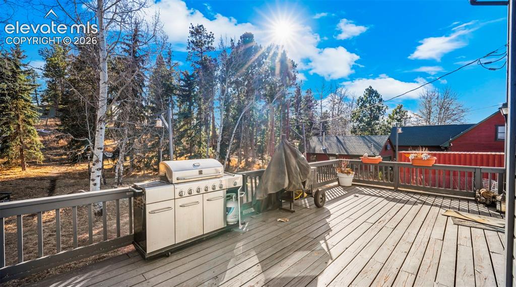 721 Sunnywood Place Woodland Park CO 80863