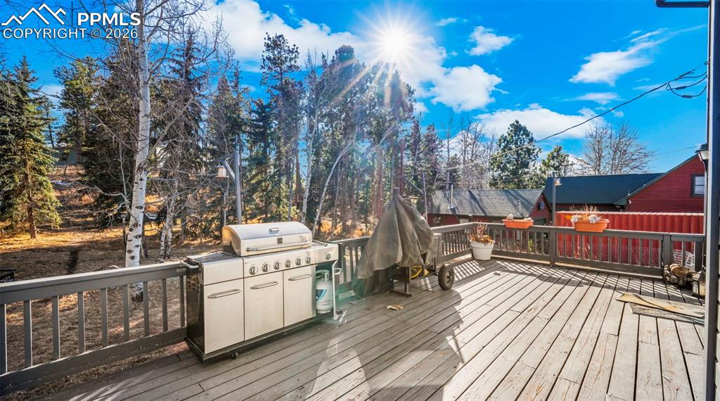 721 Sunnywood Place Woodland Park CO 80863