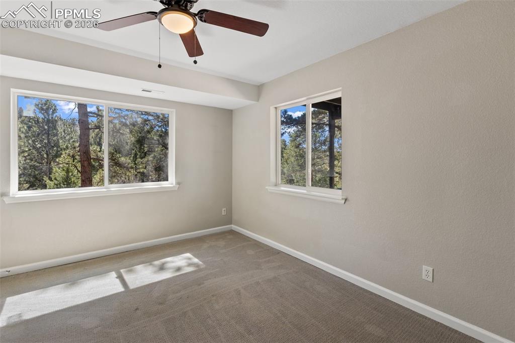 18 Mount Powderhorn Lane Florissant CO 80816