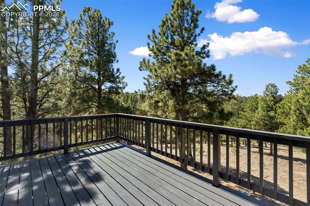 18 Mount Powderhorn Lane Florissant CO 80816