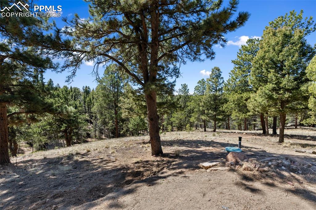 18 Mount Powderhorn Lane Florissant CO 80816