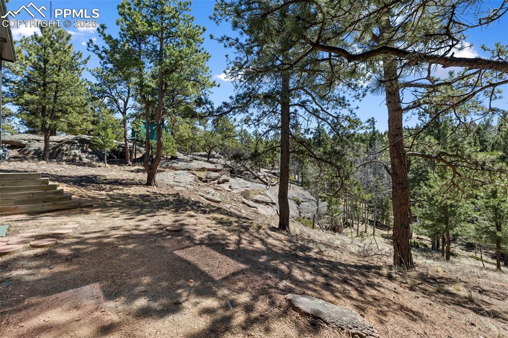 18 Mount Powderhorn Lane Florissant CO 80816