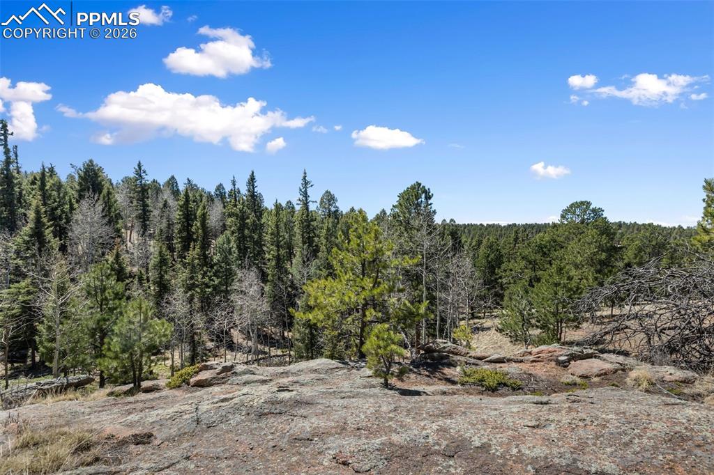 18 Mount Powderhorn Lane Florissant CO 80816