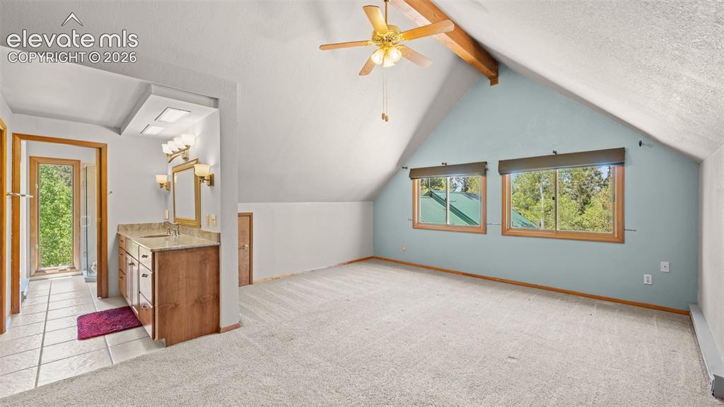 506 Ridge Road Divide CO 80814