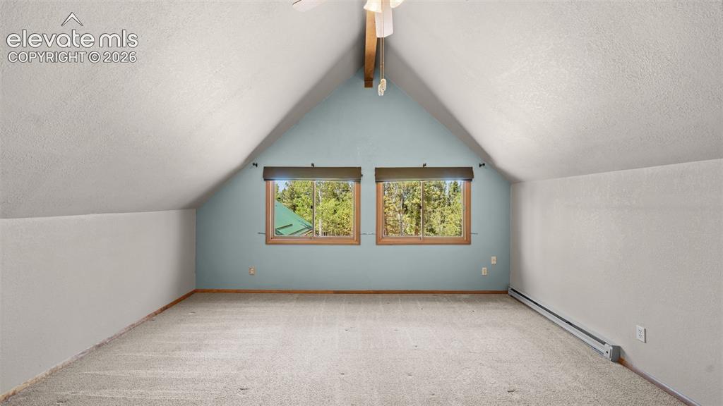 506 Ridge Road Divide CO 80814