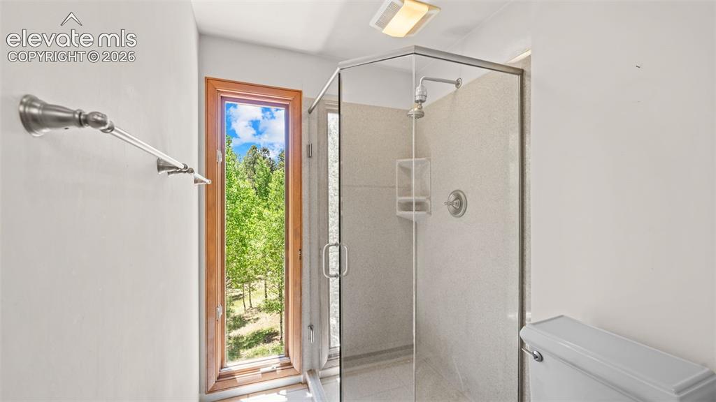 506 Ridge Road Divide CO 80814