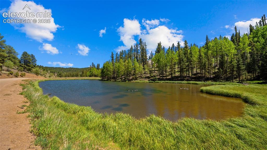 506 Ridge Road Divide CO 80814