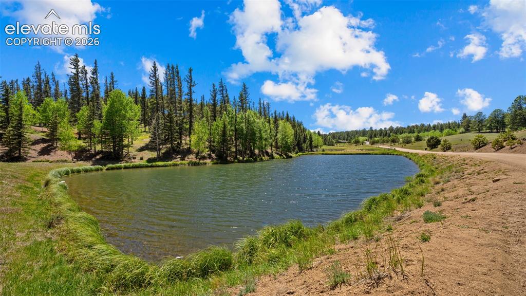 506 Ridge Road Divide CO 80814
