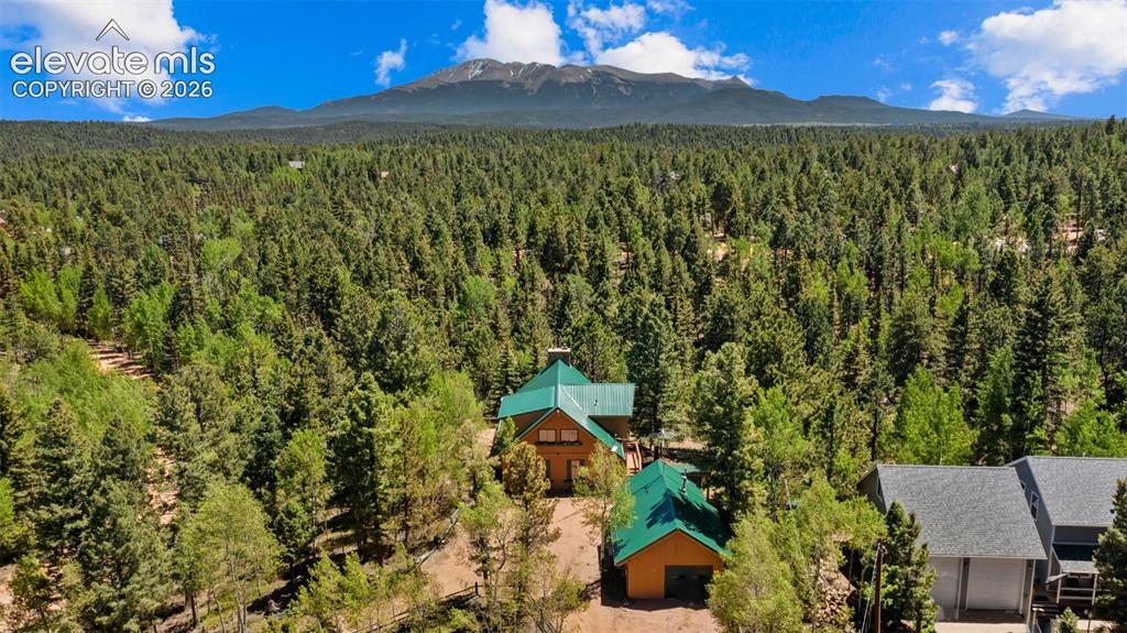 506 Ridge Road Divide CO 80814