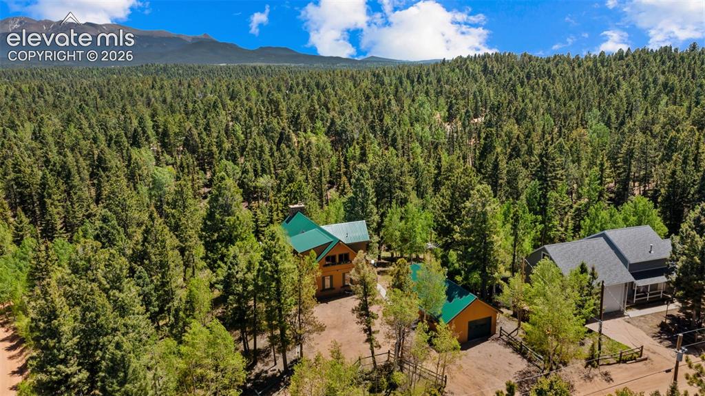 506 Ridge Road Divide CO 80814