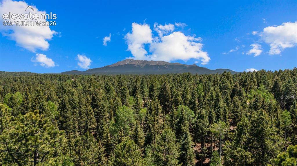 506 Ridge Road Divide CO 80814