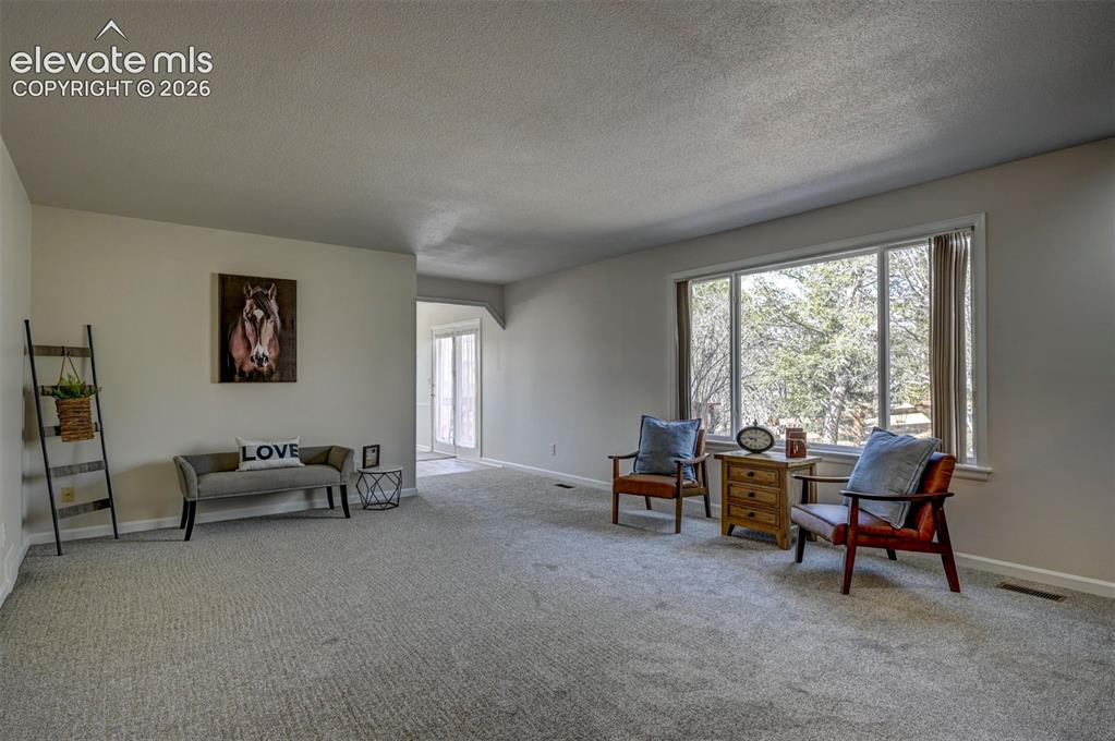 15049 La Jolla Place Colorado Springs CO 80921