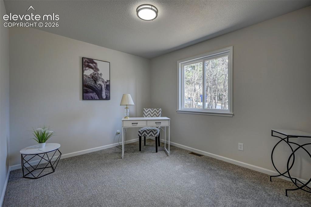 15049 La Jolla Place Colorado Springs CO 80921
