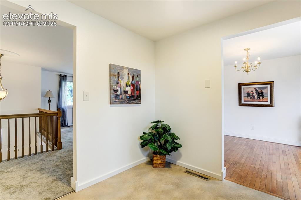 3644 Hayman Court Colorado Springs CO 80910