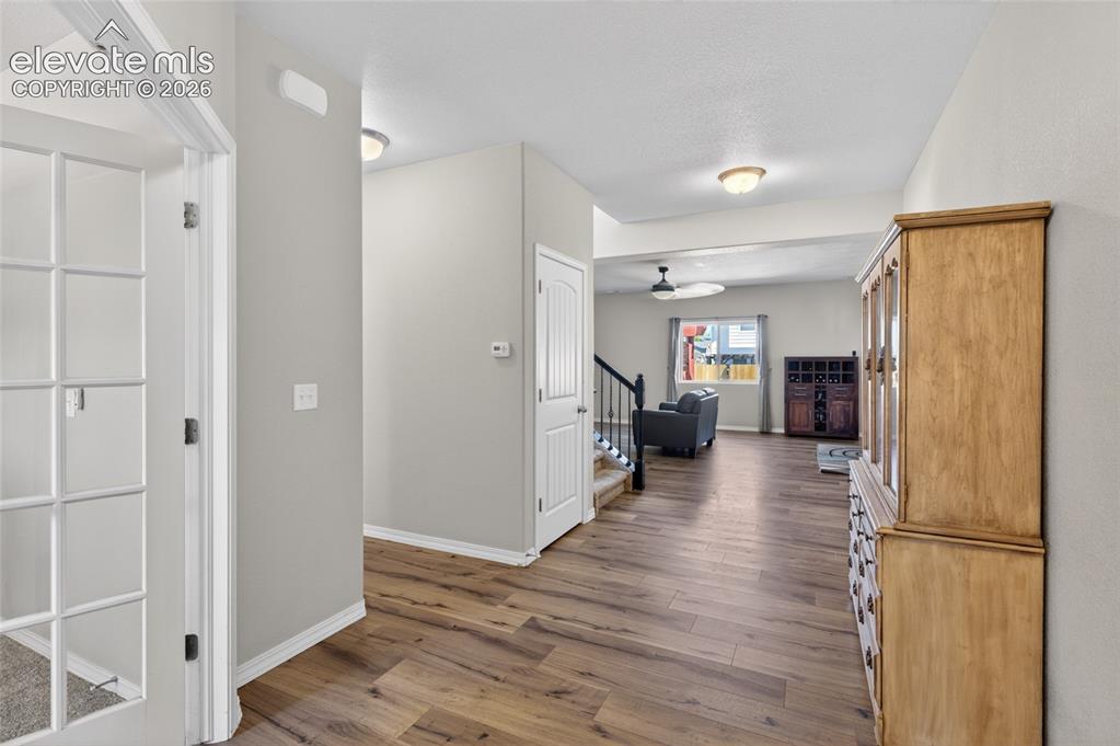 7526 Shallow Brooke Place Colorado Springs CO 80922