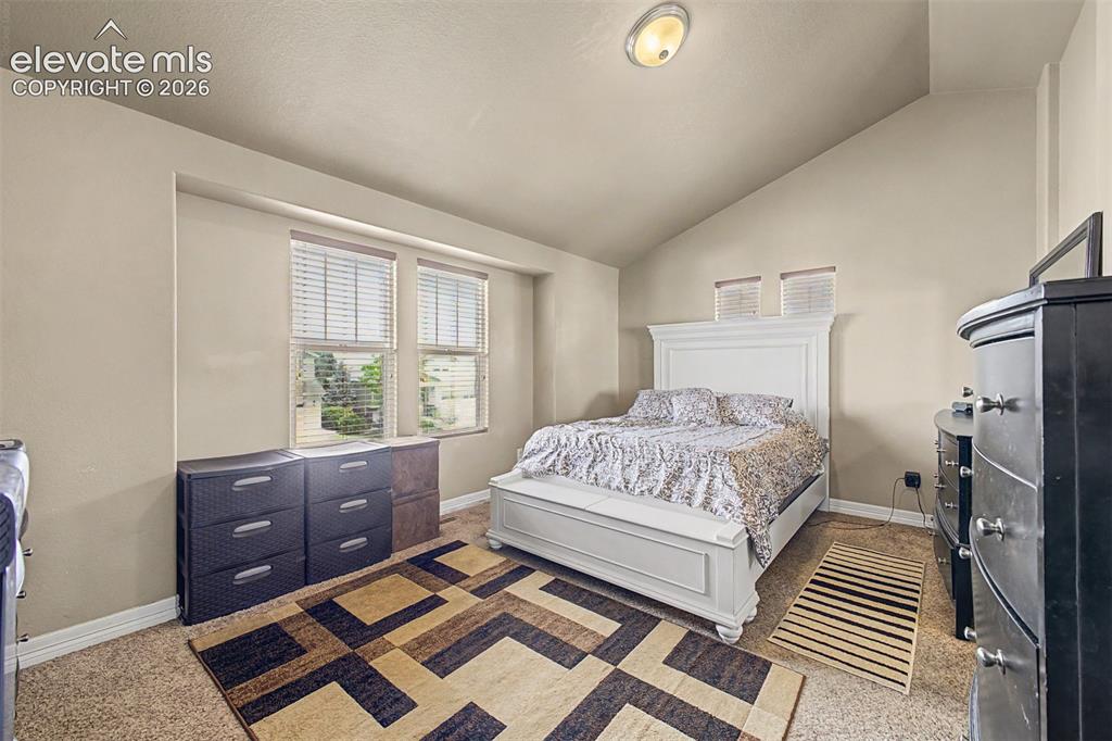 6678 Cottonwood Tree Drive Colorado Springs CO 80927